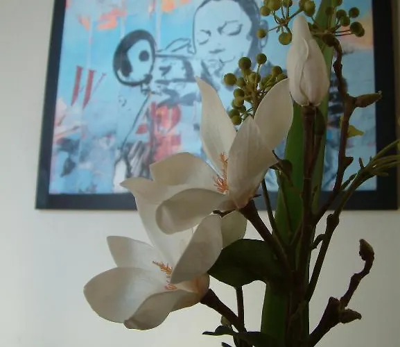 D'elsa Ζουάν λε Πιν